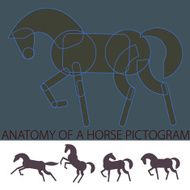 &#039;Anatomy&#039; of a Horse Pictogram