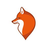 Cheerful foxy