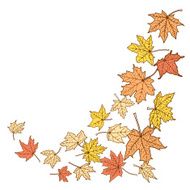 Color autumn leaves template N2