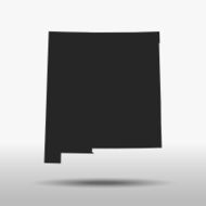 New Mexico Map N3