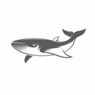 Whale in water vector illustration