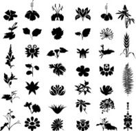 Floral elements N31
