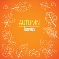 Abstract hand drawn autumn leaves isolated on the orange backgro N2