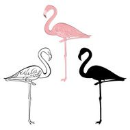 Flamingo Vector set Hand drawn illustration isolated elements N2