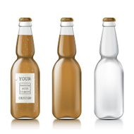 Sample of empty beer bottles N2