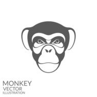 Monkey Chimpanzee