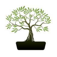 Bonsai Olive Tree Illustration N2