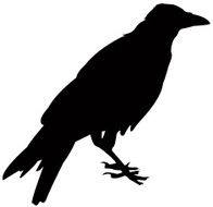 Crow N5