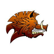 Head of a fierce snarling wild boar