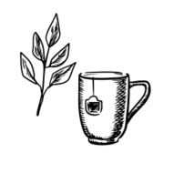 Sketch mug with tea leaves N2