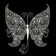 White butterfly on black background