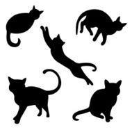 Set of cat silhouettes N2