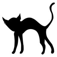 Black Cat N23