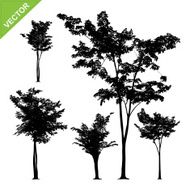 Tree silhouettes vector N5