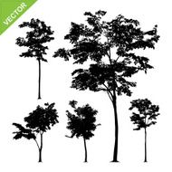 Tree silhouettes vector N6