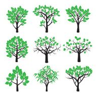 Set of plants trees and green leafs N2