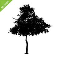 Tree silhouettes vector N8