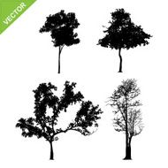 Tree silhouettes vector N10