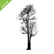 Dead tree silhouettes vector