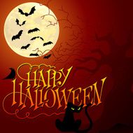 Happy Halloween N101