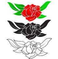 Three styles of rose