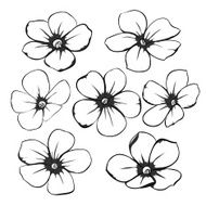 black and white floral collection with leaves flowers N2