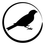 Sparrow Bird Icon