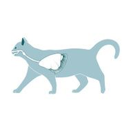 Respiratory system of the cat vector illustration N6