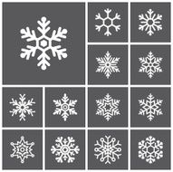 Snowflakes N45
