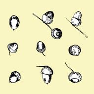 Set of different isolated hand drawn acorns N2