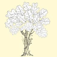 Hand drawn tree silhouette and stump N3