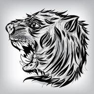 Hand Drawn Head of Tiger Illustration