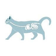 Digestive system of the cat vector illustration N3