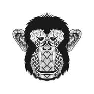Zentangle stylized head Monkey face Hand Drawn doodle vector il N2