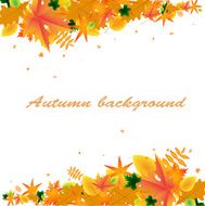 Autumn background with frame of leaves N2