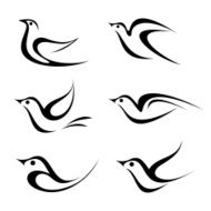 Bird Vector N2