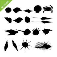 shell silhouettes vector