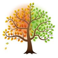 From summer to autumn tree N2