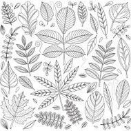 Set of outline leaves