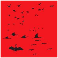 Creative Elements - Birds
