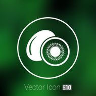 Kiwi fruits closeup icon isolated art logo design