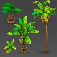 Tropical set 3