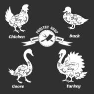 Poultry cuts poster Chicken and duck goose turkey