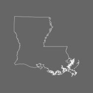Louisiana Map N9