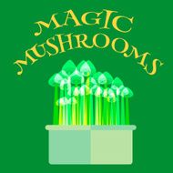 Psilocybin mushrooms grow kit