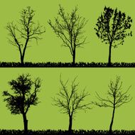 Vector silhouette of tree N3