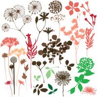Set of floral design elements N20
