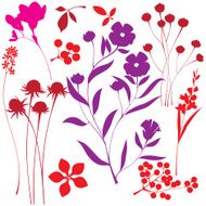 Set of floral design elements N21