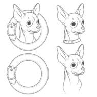 Set of vector drawing the chihuahua in collar Vector illustration