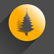 christmas tree N228